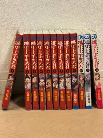 니게죠즈노 와카기미 1-12권 세트