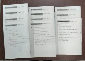 사피스 초6 산수 와세다 코스 SS특훈 SSWA-01~11 2024