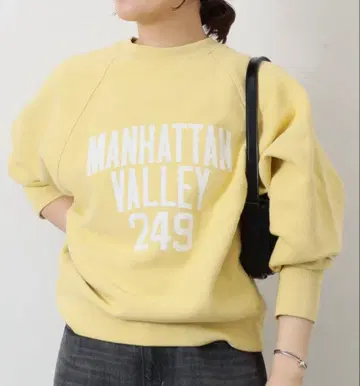 저널 스탠다드 champion 맨투맨