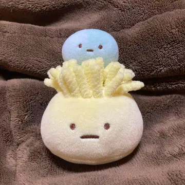 스미코구라시 바다의 스미코 스미코 라군 말미잘과 해파리