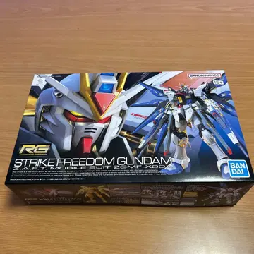 RG 스트라이크 프리덤 건담