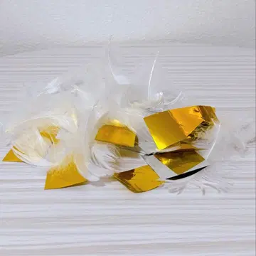 Hey! Say! JUMP DOME TOUR Ssay 낙하물 깃털