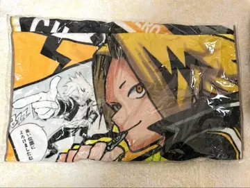 히로아카 가미나리 덴키