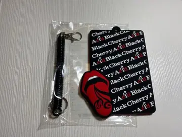 Add Black Cherry 키링