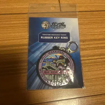 건담 맨홀 프로젝트 MS-09 DOM 러버 키링