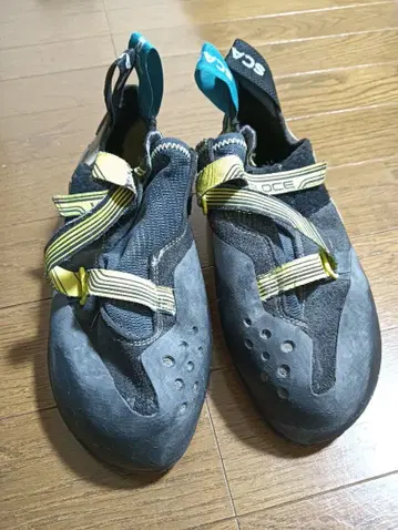 벨로체 스컬파 EU40