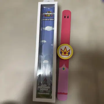 USJ 파워업 밴드 피치