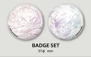 BUMP OF CHICKEN I 한정판 혜택 히로아카 캔뱃지 새상품