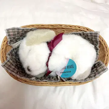 sekiguchi 오르골 하우스 봉제 인형 쇼와 레트로 개 세키구치제