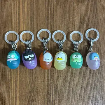 하피단부이 메지루시 액세서리 솔로 캠핑 컴플리트 세트