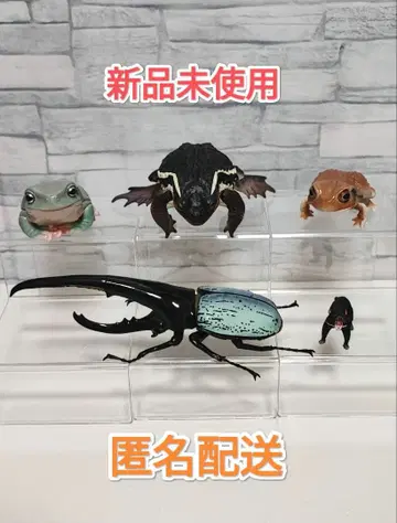 개구리와 헤라클레스 장수풍뎅이 피규어 세트