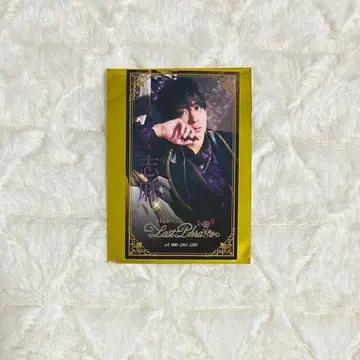 시마사카 시마 명함풍 카드 홀로