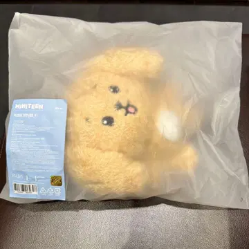 SEVENTEEN MINITEEN 도어 DOA 봉제 인형 플러쉬 토이