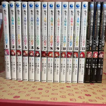 환생한 대성녀는 성녀임을 숨긴다 1~13 ZERO 1~3