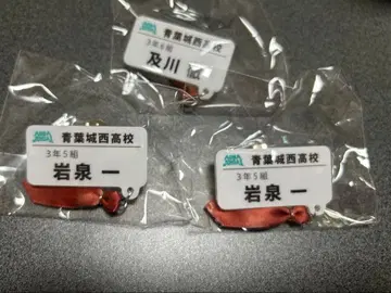 하이큐!! 참 포함 네임 배지 컬렉션