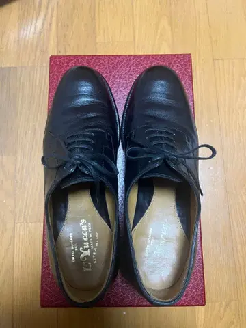 Le Yucca's / Plane Toe Shoes