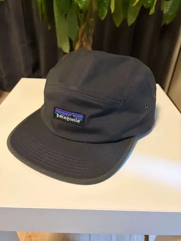 파타고니아 캡