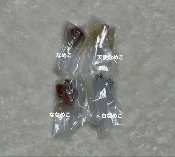 나메코 재배 키트 메지루시 액세서리 2 4종 세트