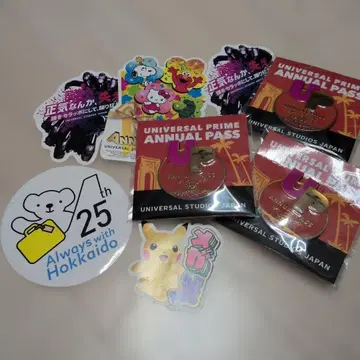 USJ 2025년 프라임 연간 패스 배지 3개 + 덤