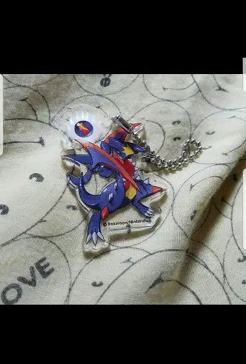 포켓몬 메가 입치트 아크릴 키링 포켓몬 센터 스트랩