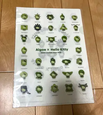 만박 일본관 헬로키티 클리어 파일 2장 세트