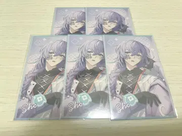 니지산지 호시미치 쇼 폴라로이드