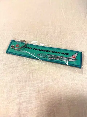 일본 트랜스 오션 항공 JTA 플라이트 택 징베 제트