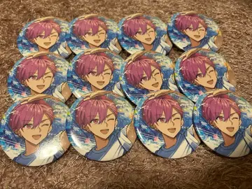 이레이스 나이코 영원한 배지 12개