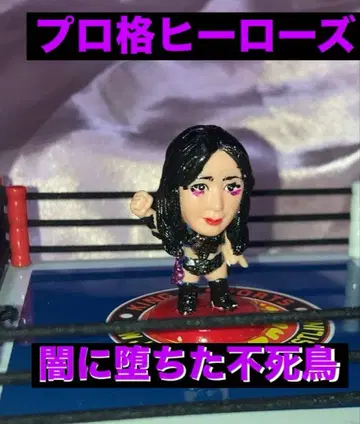 프로 격투 히어로즈 어둠에 떨어진 불사조