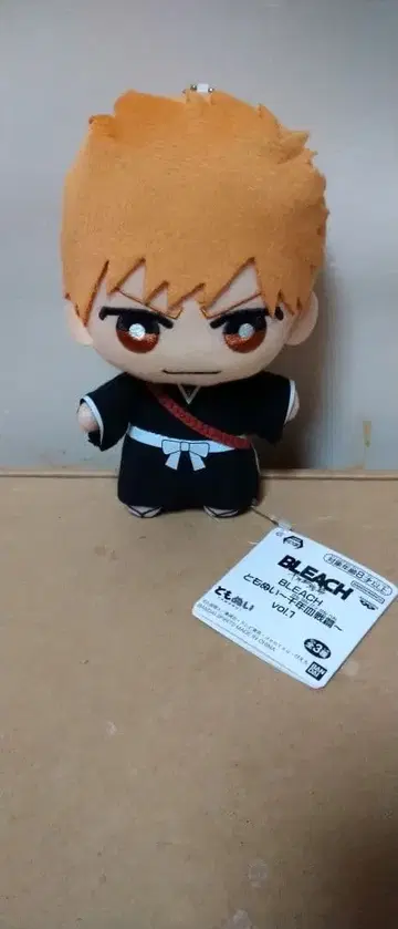 쿠로사키 이치고 토모누이