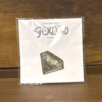 SEVENTEEN TOUR FOLLOW 핀 배지