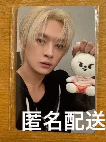 straykids 주토피아 skzoo 트레이딩 카드 리노 리빗 fans