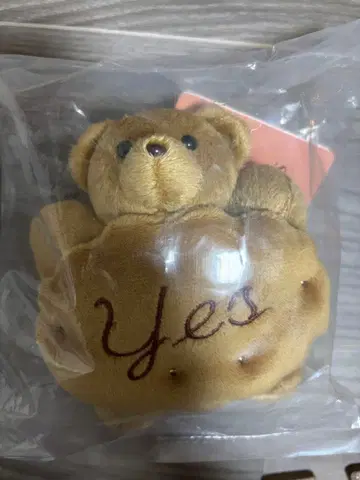 노 레이즌 샌드 캐러멜 곰 참