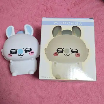 치이카와 모몽가 실리콘 룸 라이트