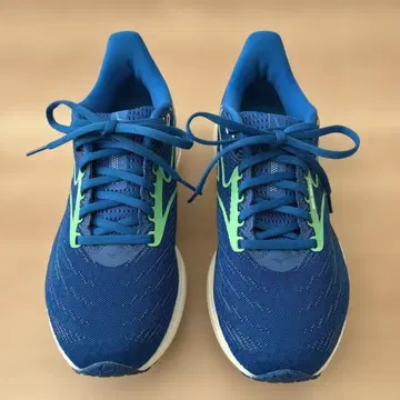 미즈노 웨이브 라이더 29 SW (러닝) 26cm