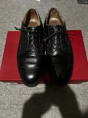 리걸 브리티시 컬렉션 24cm