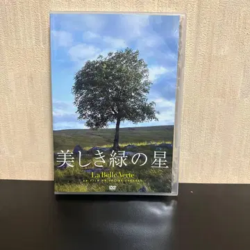 아름다운 그린의 별