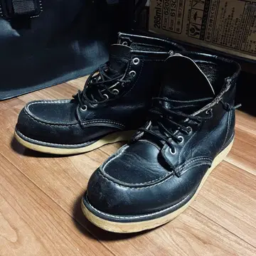 IRISH SETTER / RED WING