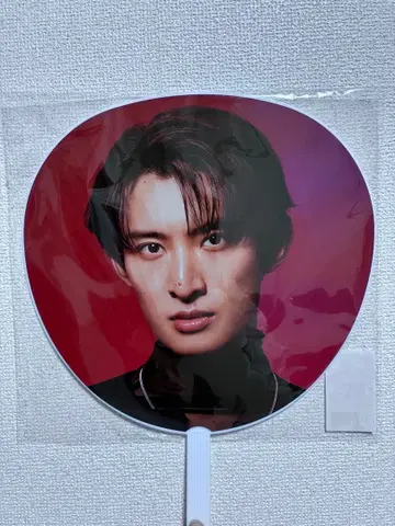 Snow Man 코지 부채