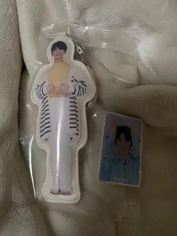 seventeen 세부치 조슈아 키링 마그넷