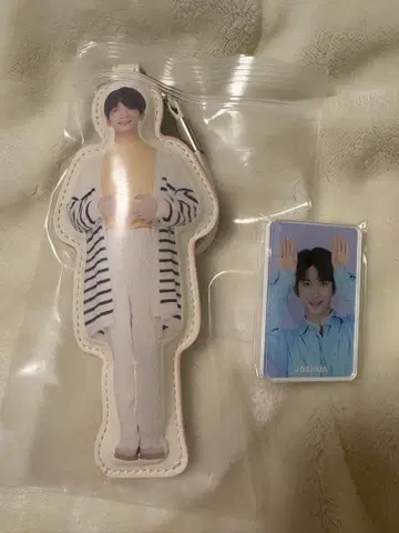 seventeen 세부치 조슈아 키링 마그넷