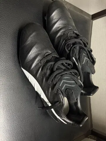 푸마 스파이크 26.0