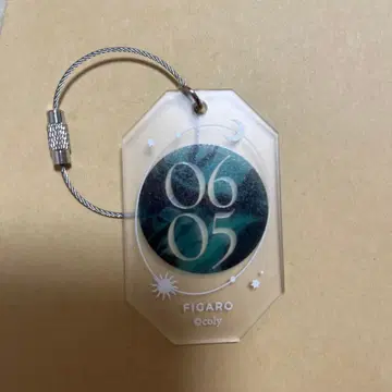 마법사의 약속 아크릴 매트 키링 피가로