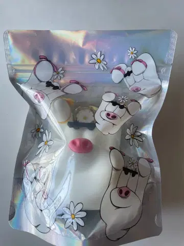 센가 켄타 FiNGAiSM 코인 케이스