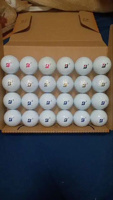 BRIDGE STONE의 JGR 로스트볼 24개