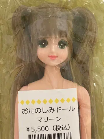 즐거운 인형 마린 리카짱 캐슬 제니 프렌드