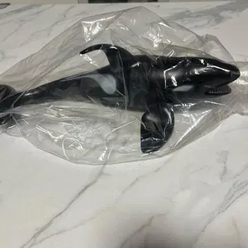 리얼 범고래 피규어 약 40cm