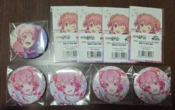 프로세카 모모이 아이리