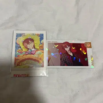 에이트리 니시조노 렌가