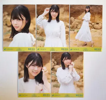 노기자카46 브로마이드 5종 컴프 토미자토 리나 samenumbers